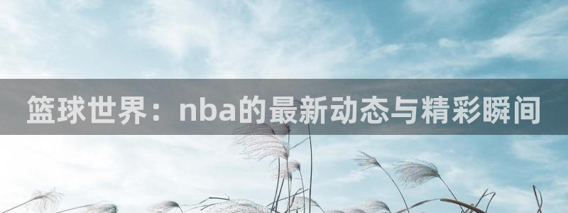 篮球世界：nba的最新动态与精彩瞬间
